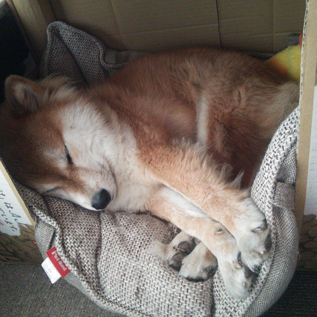 乐鱼体育APP官方下载-中国男篮强化挡拆质量提升进攻效率，中国男篮新规则