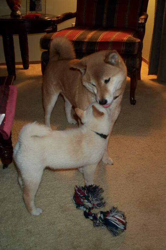 leyu.com-中国男篮防守强度显著提高 球队默契增强，中国男篮面临一个可怕的对手