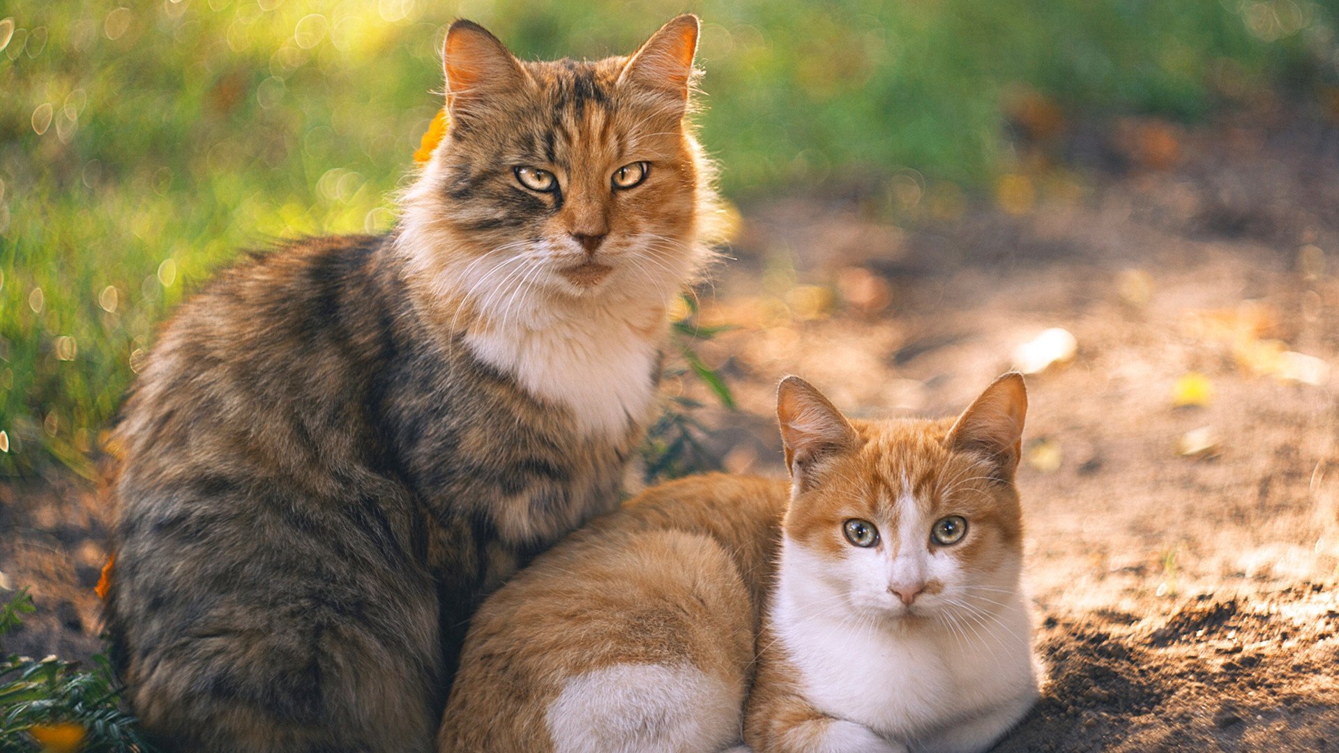 leyu.com-倒三角布局带来控场优势，倒三角战术解析