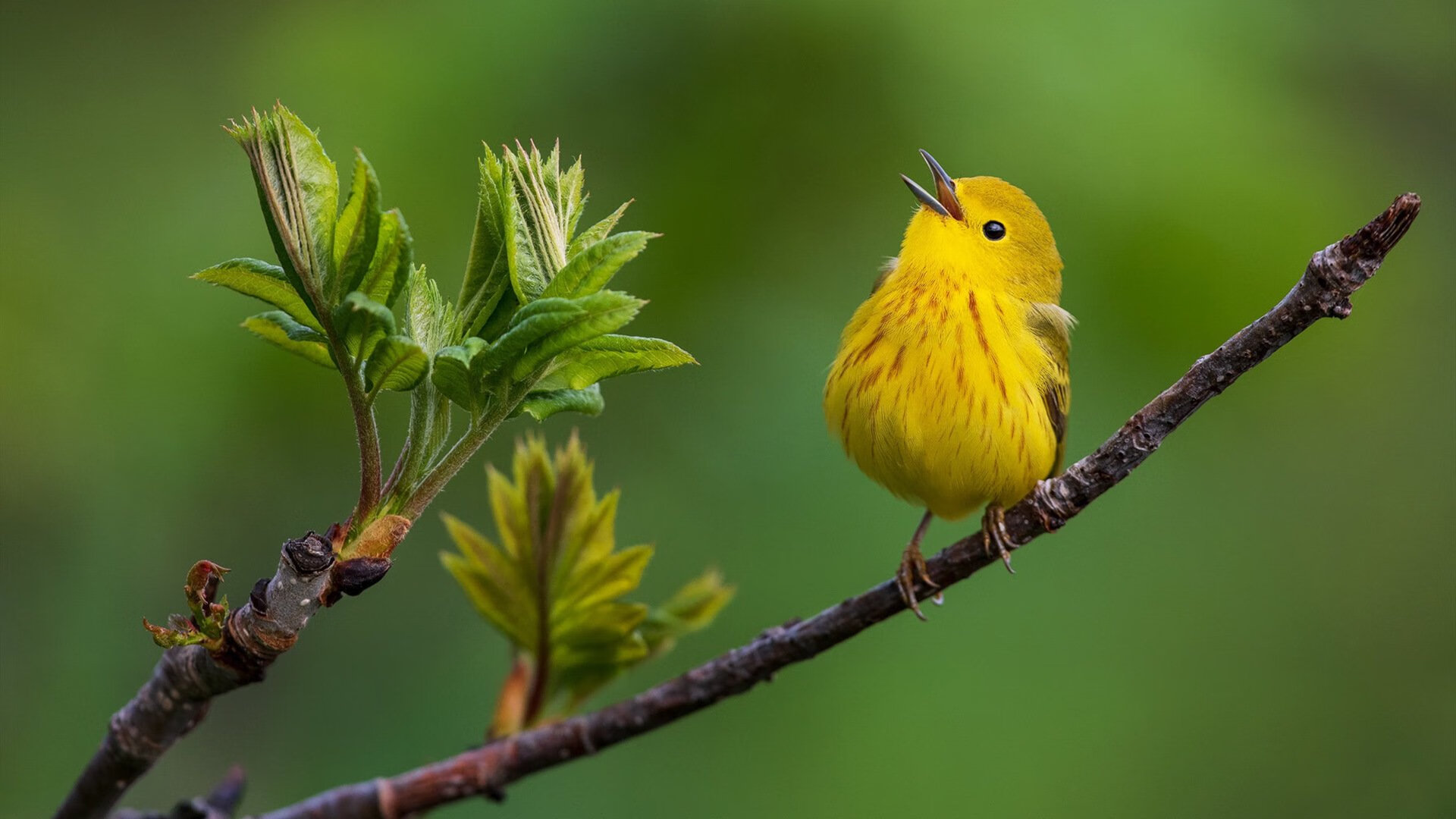 Leyu Sport下载-前三节统治力哪队表现最稳定