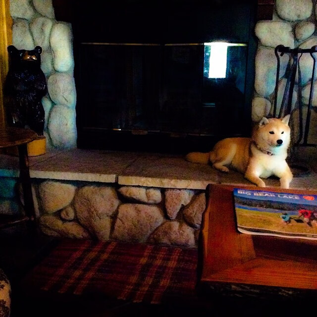 乐鱼电竞-国家队换帅后体系为何难以稳定，中国队换帅