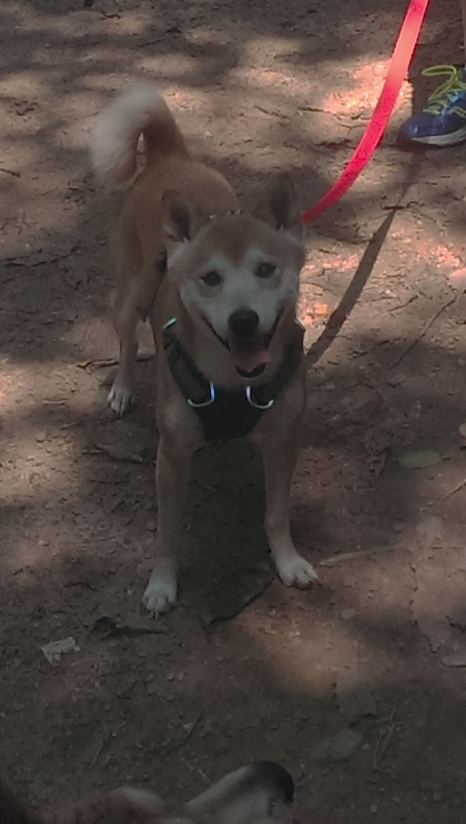 乐鱼体育APP官方下载-国际热身赛中国足球逆袭 战术布置清晰，热身赛国足直播