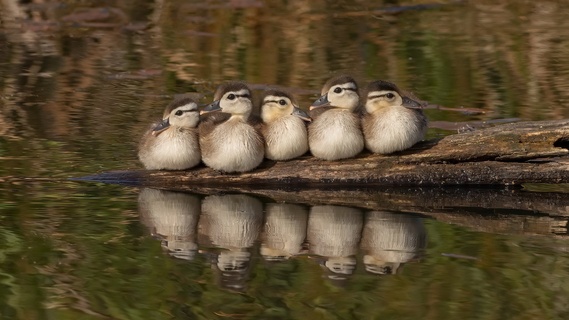 LEYU SPORTS中国官方网站-德国女将首次亮相赛场状态良好，德国女排名单介绍