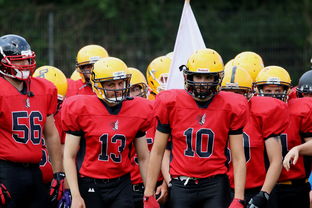 乐鱼（中国）体育官方网站-球员伤病防护不足，球员伤病对球员的影响