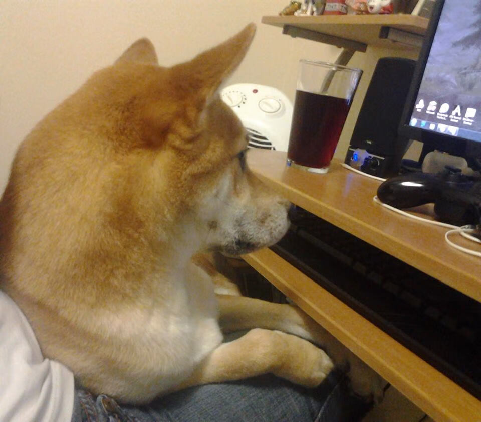 下载乐鱼体育APP-世界足球十大精彩瞬间盘点，回顾辉煌时刻，世界足坛最精彩的比赛