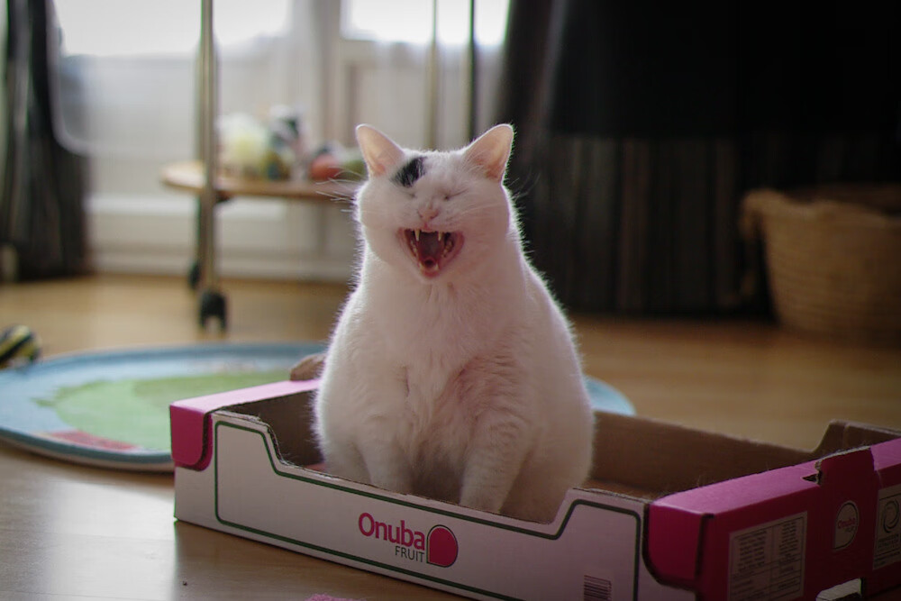 Leyu Sport登录入口-中国足球青训体系逐步实现一体化管理，中国足球青训大纲内容