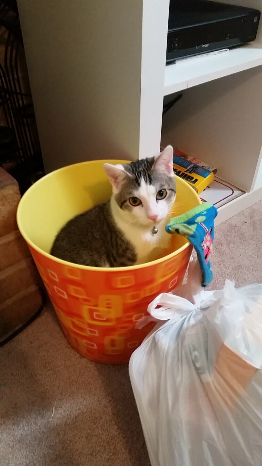 乐鱼（中国）体育官方网站-巴西队在南美预赛中保持领先，晋级基本板上钉钉