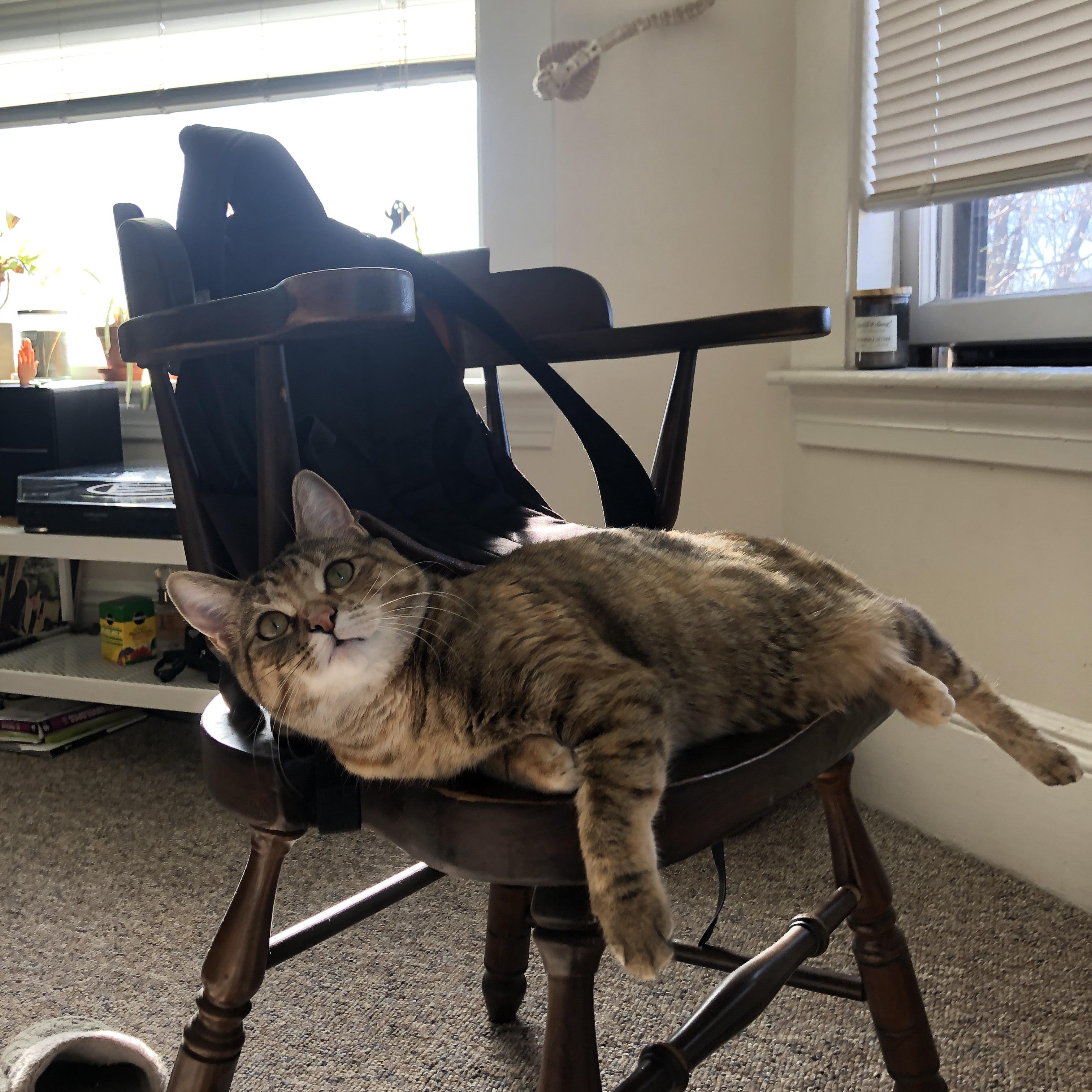 乐鱼电竞· (中国)官方网站-帕利斯特决赛表现获教练高度评价,帕利斯特决赛表现获教练高度评价的是谁