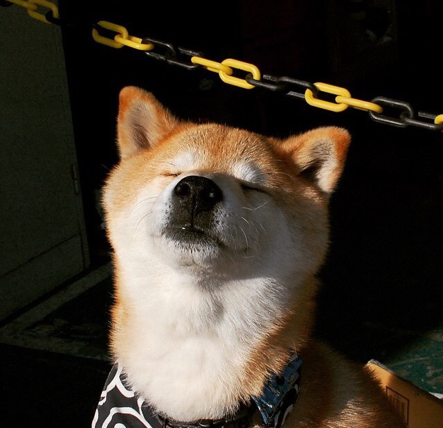 leyu乐鱼在线登录入口-梅西带领阿根廷稳步前行，冲刺2026世界杯