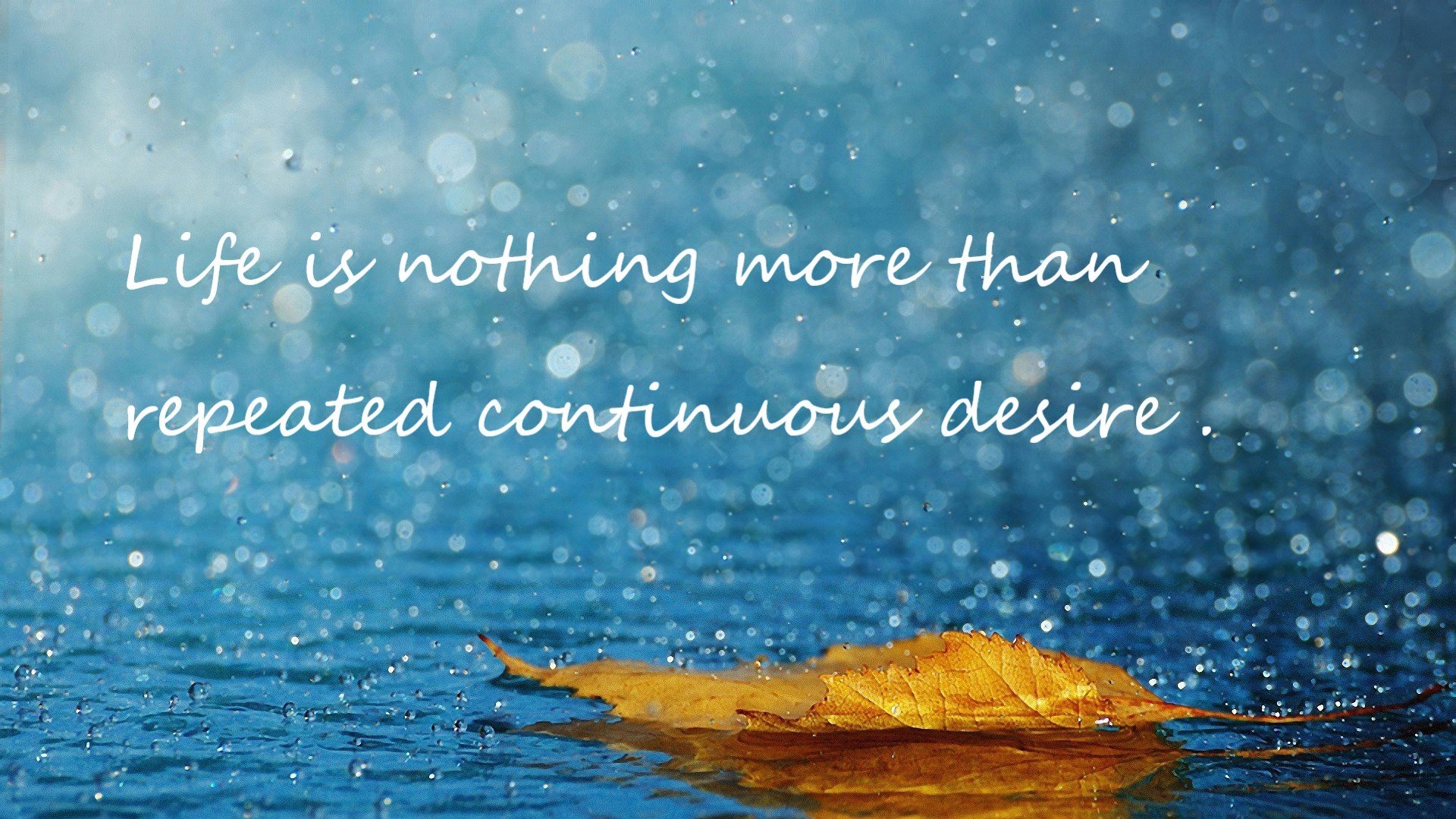 乐鱼体育登录-自由泳中距离希腊强将状态正佳，自由泳spl