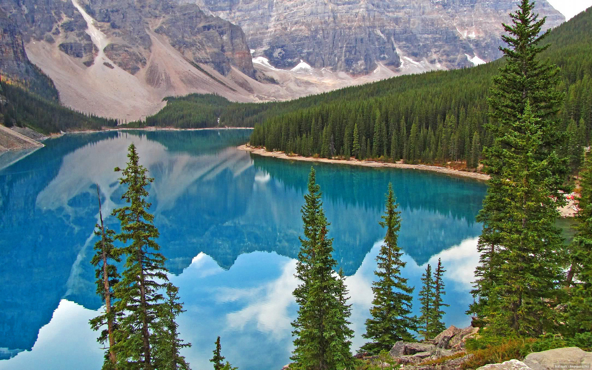 乐鱼体育登录-跳水表现亮眼波兰选手获赞，波兰跳高运动员