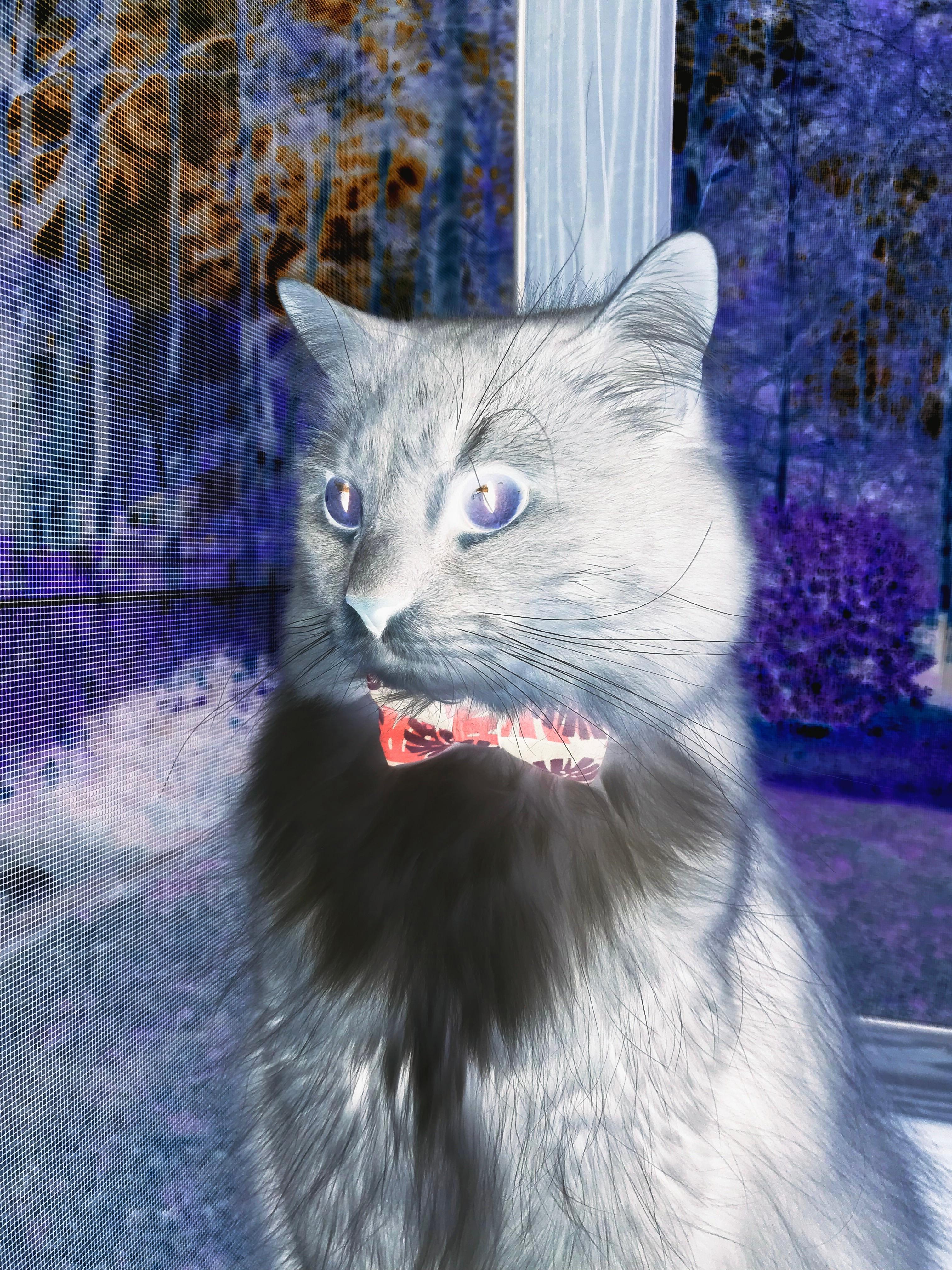 乐鱼官网-骑士推出新吉祥物形象获得粉丝喜爱,骑士推出新吉祥物形象获得粉丝喜爱