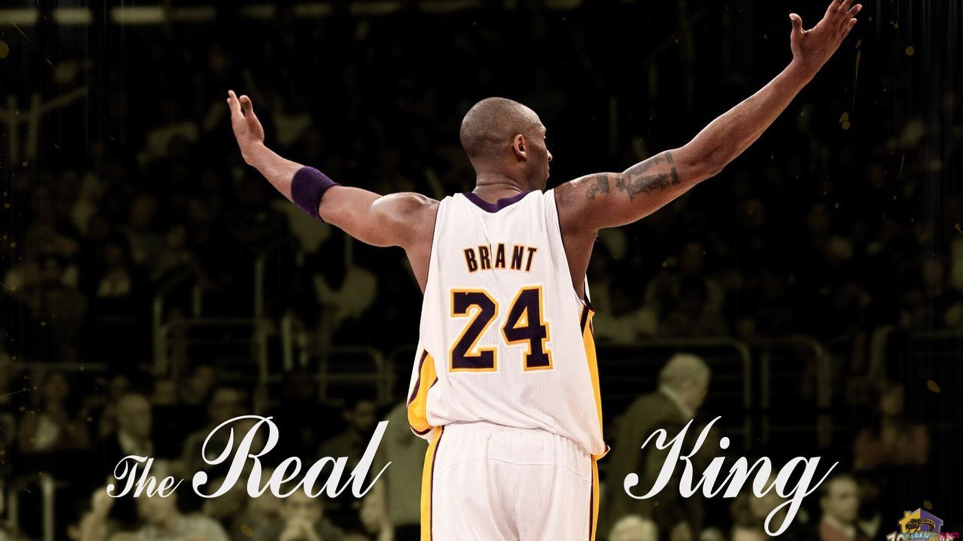 乐鱼体育登陆入口-CBA联赛市场运作得到外界投资关注，cba联赛概述