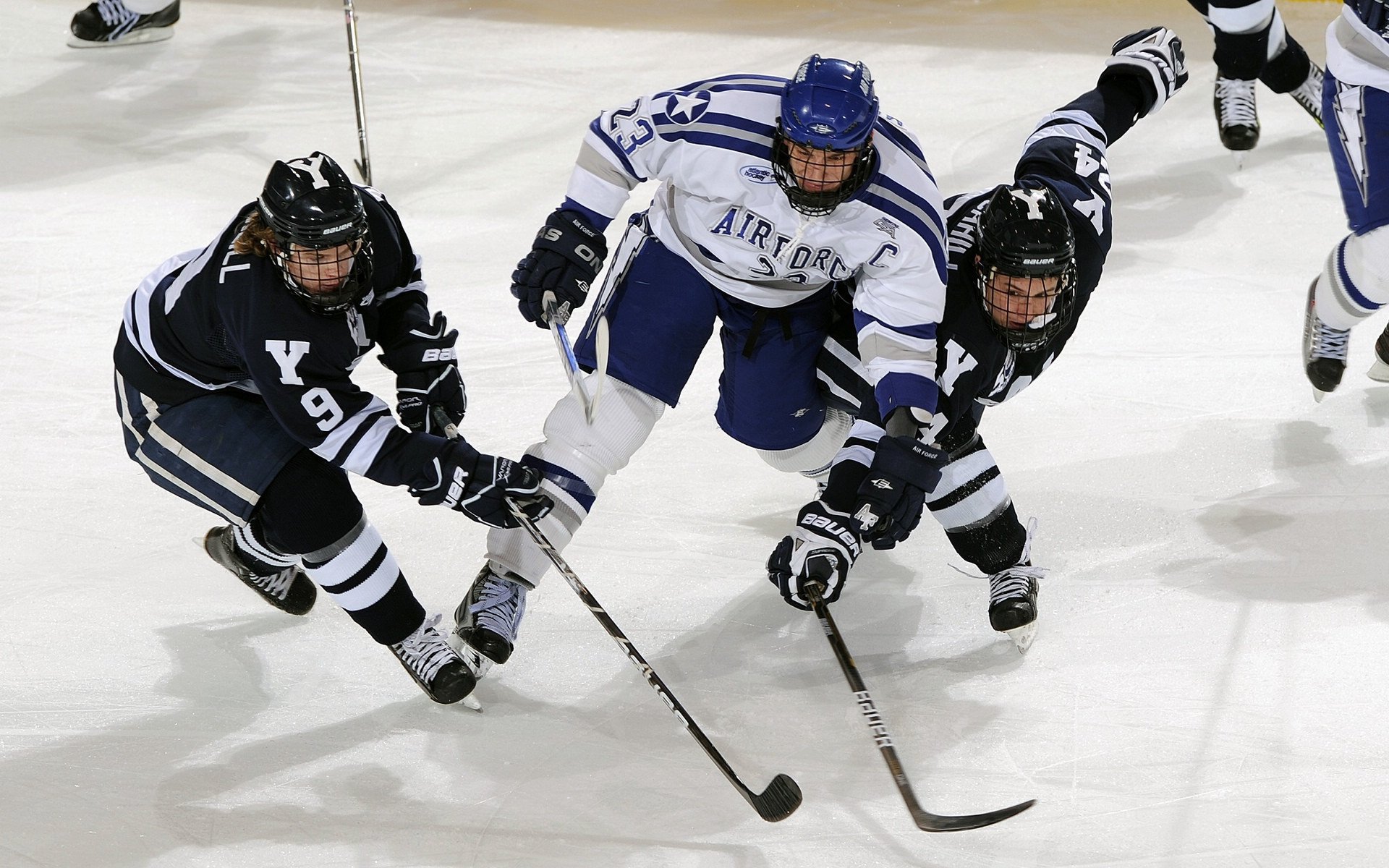 里奇·麦考在全黑队中的领导地位毋庸置疑,麦考球员